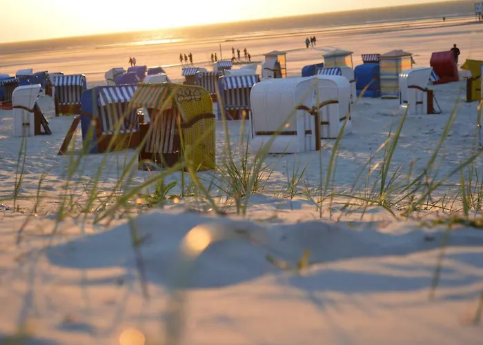 Appartement Duenenmeer *